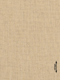 ufasma Gza me Lini ufi 'Linneo' diathesimo se 25 Apoxroseis